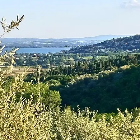 Apartment Coccinella