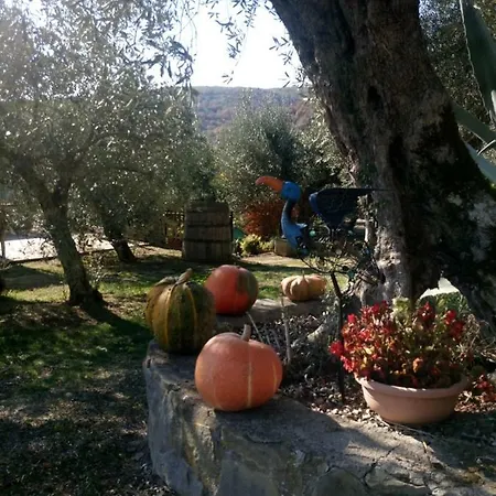 Apartment Coccinella